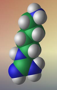 AGB_200x314.jpg